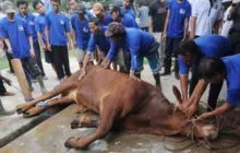 HUKUM MENYEBUTKAN NAMA ORANG YANG BERKURBAN PADA SAAT MENYEMBELIH