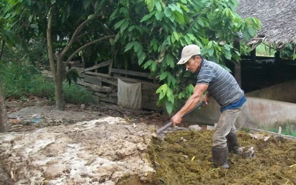 HUKUM JUAL BELI PUPUK DARI KOTORAN HEWAN