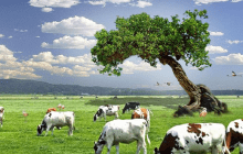 BERKURBAN? UNTUK APA?