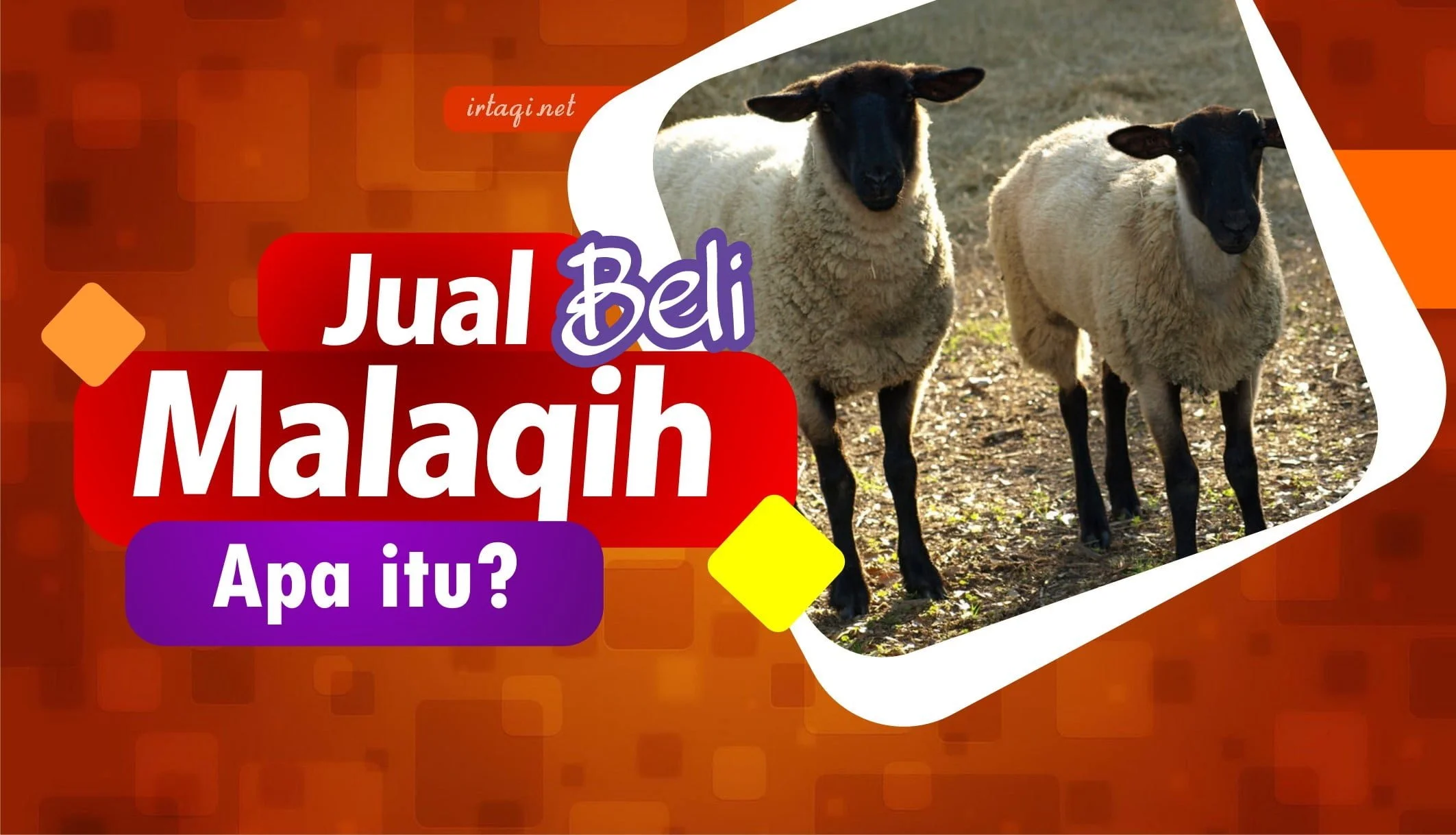 JUAL BELI MALAQIH, APA ITU?