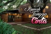 RUMAH TANGGA DAN CINTA