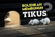 BOLEHKAH MEMBUNUH TIKUS?