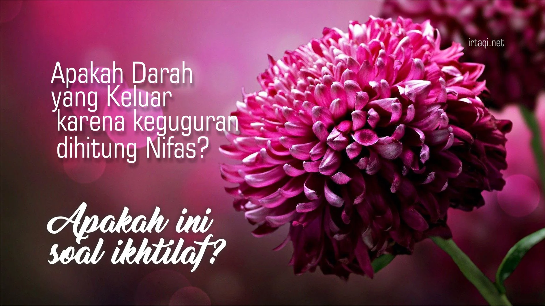APAKAH DARAH YANG KELUAR KARENA KEGUGURAN DIHITUNG NIFAS? APAKAH INI SOAL IKHTILAF?