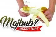 APA ITU “MAJBUB”?