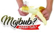 APA ITU “MAJBUB”?