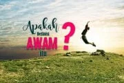 APA DEFINISI AWAM ITU?