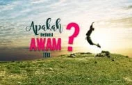 APA DEFINISI AWAM ITU?