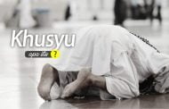 APA ITU KHUSYU?