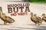 JANGAN MENJADI MUQOLLID BUTA