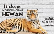 HUKUM MENGERINGKAN HEWAN UNTUK AKSESORI RUMAH
