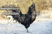 APA HUKUM MENYEMBELIH DENGAN NIAT DIPERSEMBAHKAN KEPADA SELAIN ALLAH?