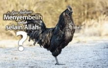 APA HUKUM MENYEMBELIH DENGAN NIAT DIPERSEMBAHKAN KEPADA SELAIN ALLAH?