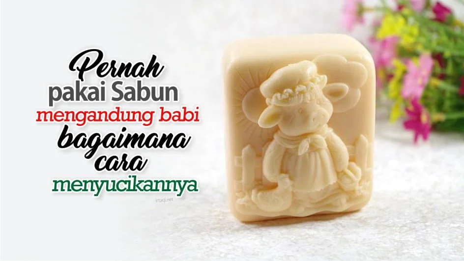 JIKA PERNAH MANDI DENGAN SABUN MENGANDUNG BABI, BAGAIMANA CARA MENYUCIKANNYA?