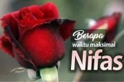 BERAPA MASA MAKSIMAL NIFAS?