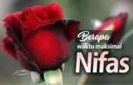 BERAPA MASA MAKSIMAL NIFAS?