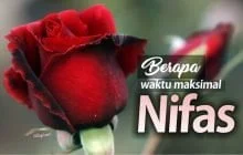 BERAPA MASA MAKSIMAL NIFAS?