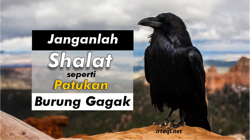 JANGANLAH SALAT SEPERTI PATUKAN BURUNG GAGAK