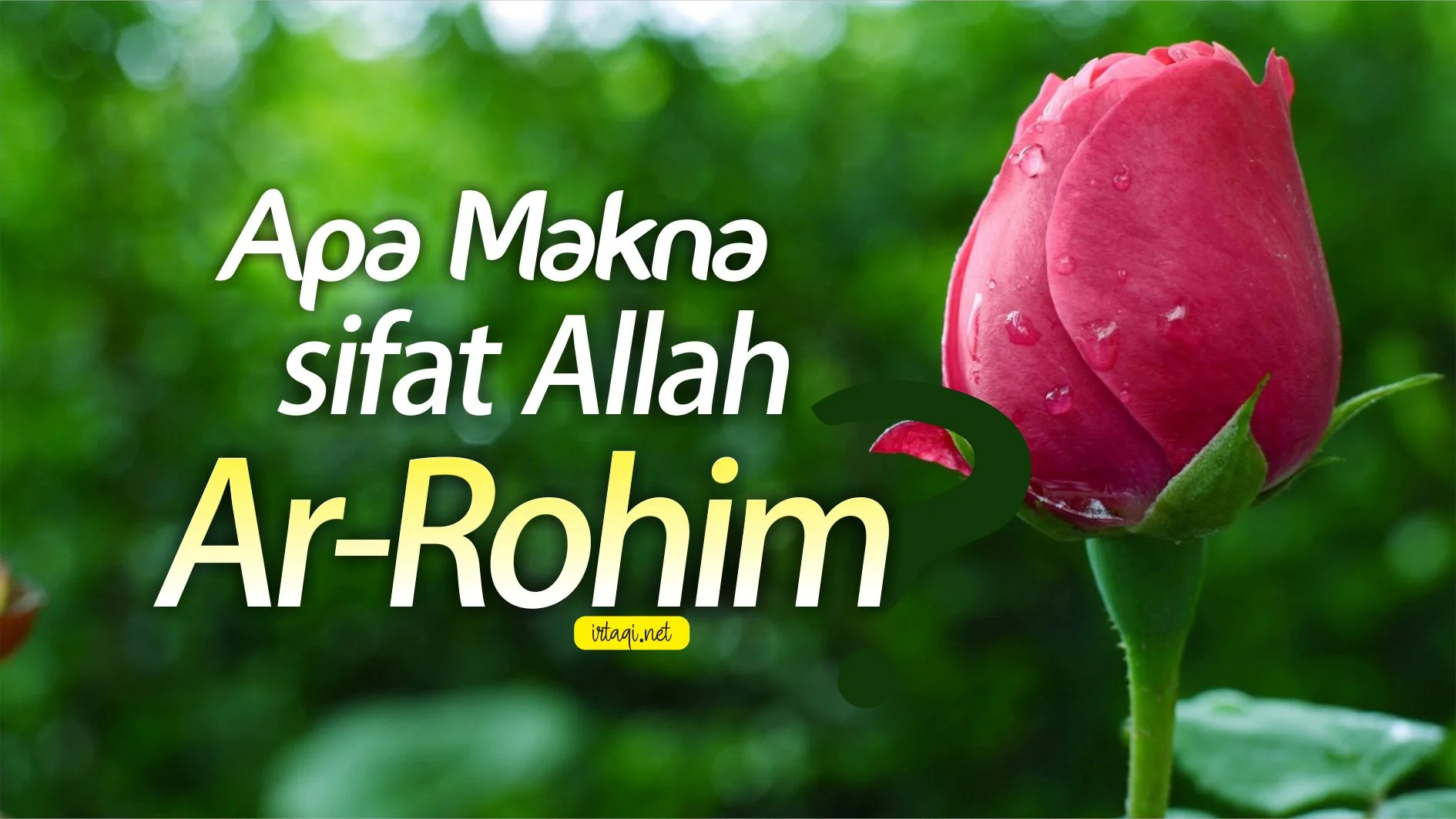APA MAKNA SIFAT ALLAH; AR-ROHIM?