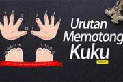 URUTAN MEMOTONG KUKU