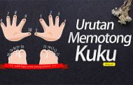 URUTAN MEMOTONG KUKU
