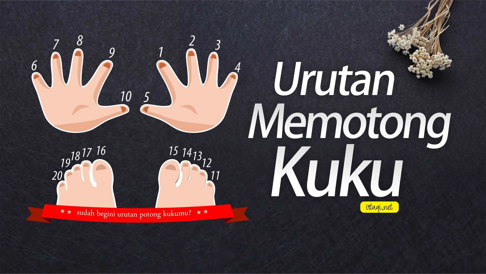 URUTAN MEMOTONG KUKU