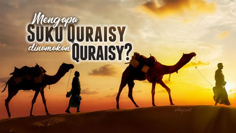 MENGAPA SUKU QURAISY DINAMAKAN QURAISY?