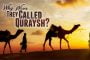 WHY WERE THEY CALLED QURAYSH?