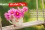 WANITA DITALAK TIGA  APAKAH TETAP WAJIB MENJALANI MASA IDAH DI RUMAH SUAMI YANG MENTALAKNYA?