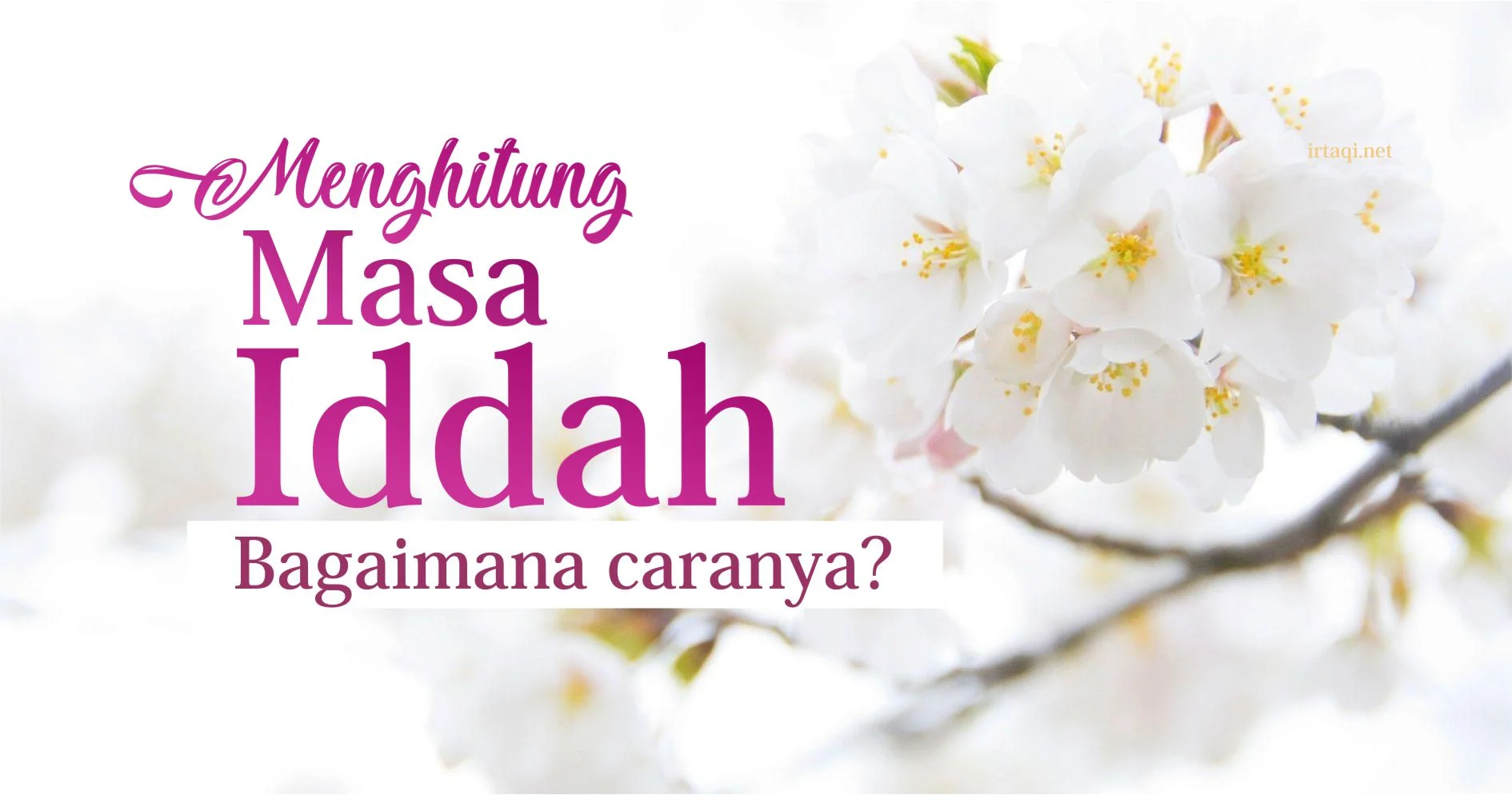 BAGAIMANA CARA MENGHITUNG MASA IDAH?
