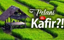 PETANI ITU KAFIR?!