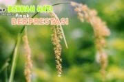 TETAP RENDAH HATI MESKI ANAK BERPRESTASI