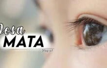 DOSA MATA