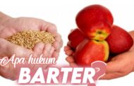 APA HUKUM BARTER?