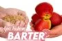 APA HUKUM BARTER?