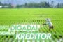 BOLEHKAH MENGGADAIKAN SAWAH DENGAN KESEPAKATAN DIGARAP PENERIMA GADAI?