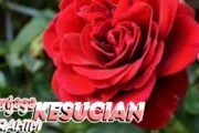 MENJAGA KESUCIAN RAHIM