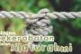 KERABAT MANA SAJA YANG WAJIB DISAMBUNG TALI SILATURAHMI?