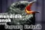 JANGAN MENDIDIK ANAK SEPERTI BURUNG KEDASIH!