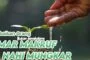 KEBAIKAN ORANG BUKAN PENGHALANG AMAR MAKRUF NAHI MUNGKAR