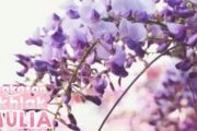 RINGKASAN AKHLAK MULIA
