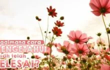 BAGAIMANA CARA MENGETAHUI HAID TELAH SELESAI?