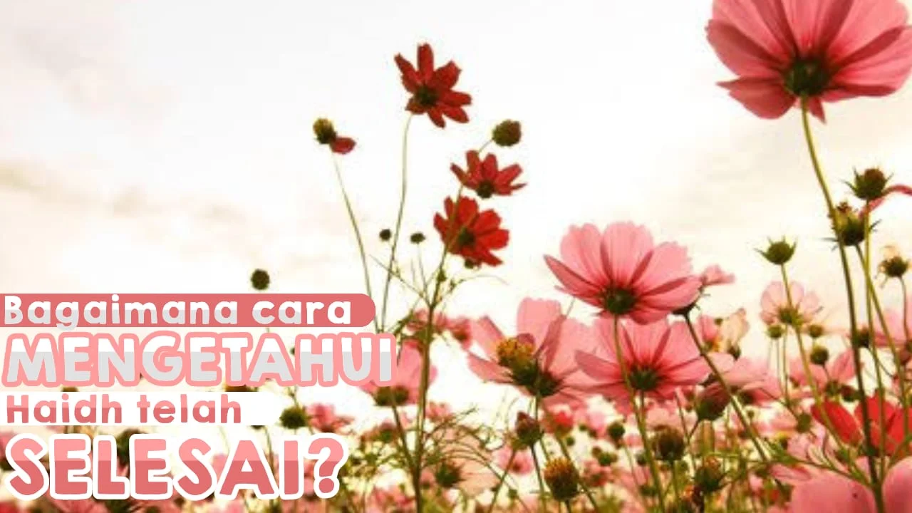BAGAIMANA CARA MENGETAHUI HAID TELAH SELESAI?