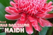 IJTIHAD SAḤAB DAN TALFĪQ DALAM HAID