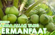 JADILAH HAMBA ALLAH YANG BERMANFAAT
