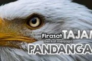 FIRASAT TAJAM BERKAT MENJAGA PANDANGAN
