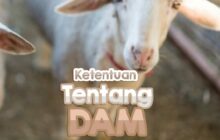 KETENTUAN TENTANG DAM