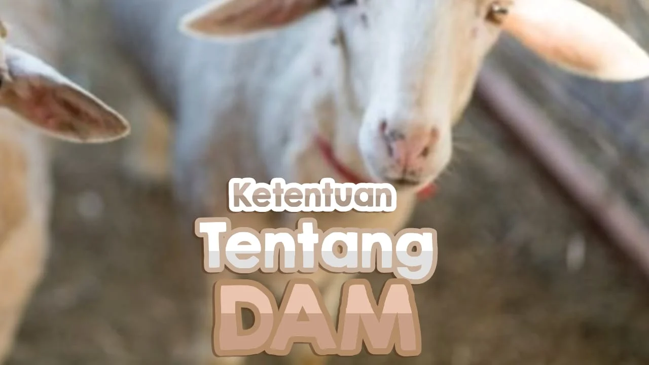 KETENTUAN TENTANG DAM