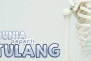 DUNIA SEPERTI TULANG