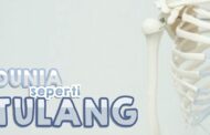 DUNIA SEPERTI TULANG