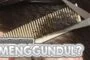 APAKAH HANYA MEMOTONG RAMBUT SAJA TANPA MENGGUNDUL MEMBUAT TAHALLUL TIDAK SEMPURNA?
